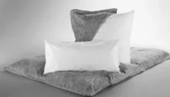 Anti-allergeenhoes hoofdkussen